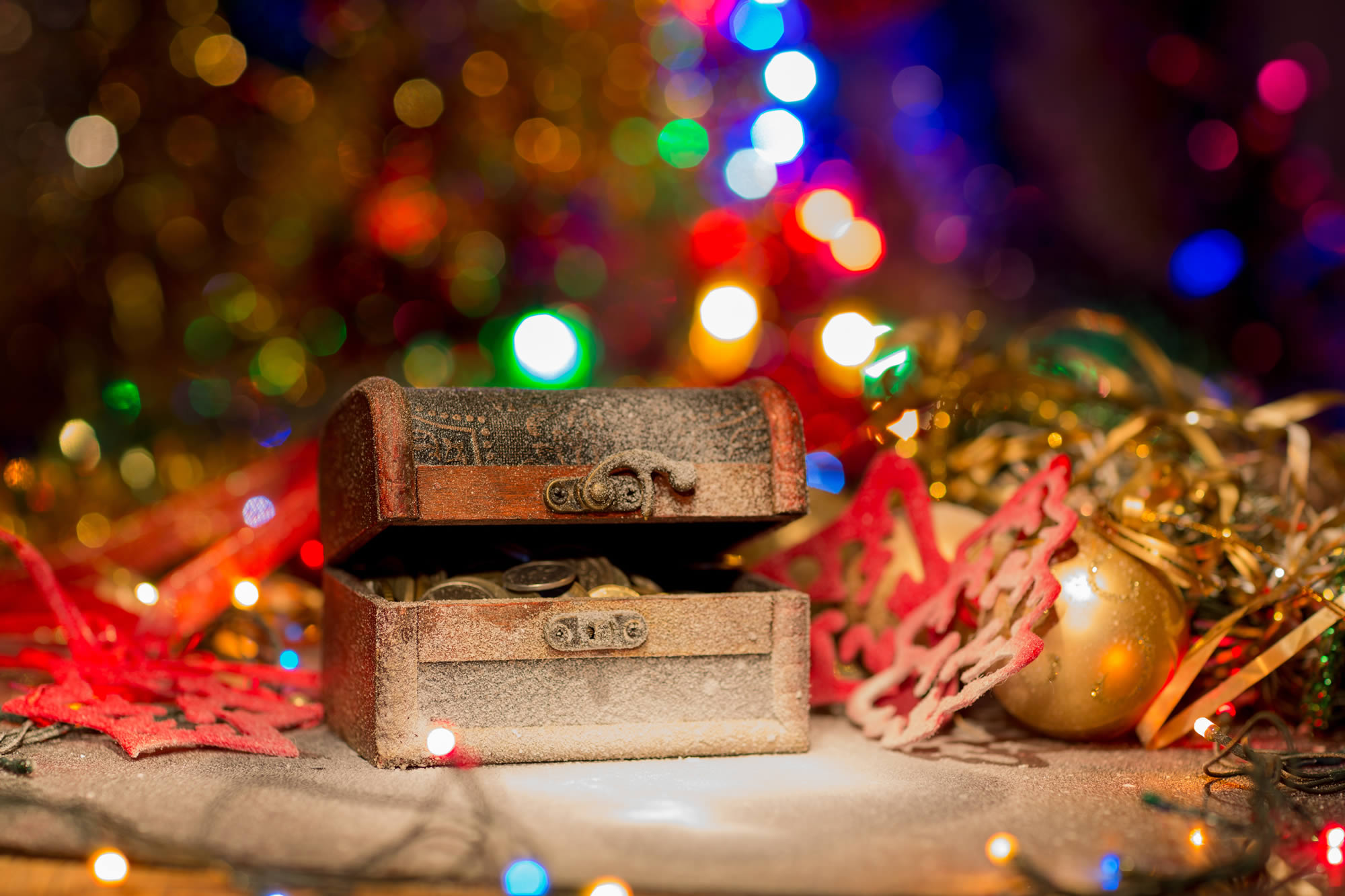Christmas flowers-Christmas Treasure