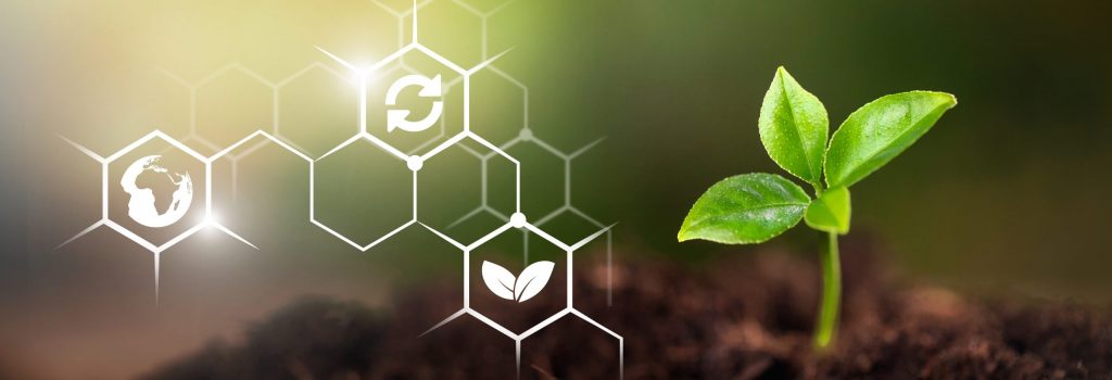 plant, tree, sustainable, environmental