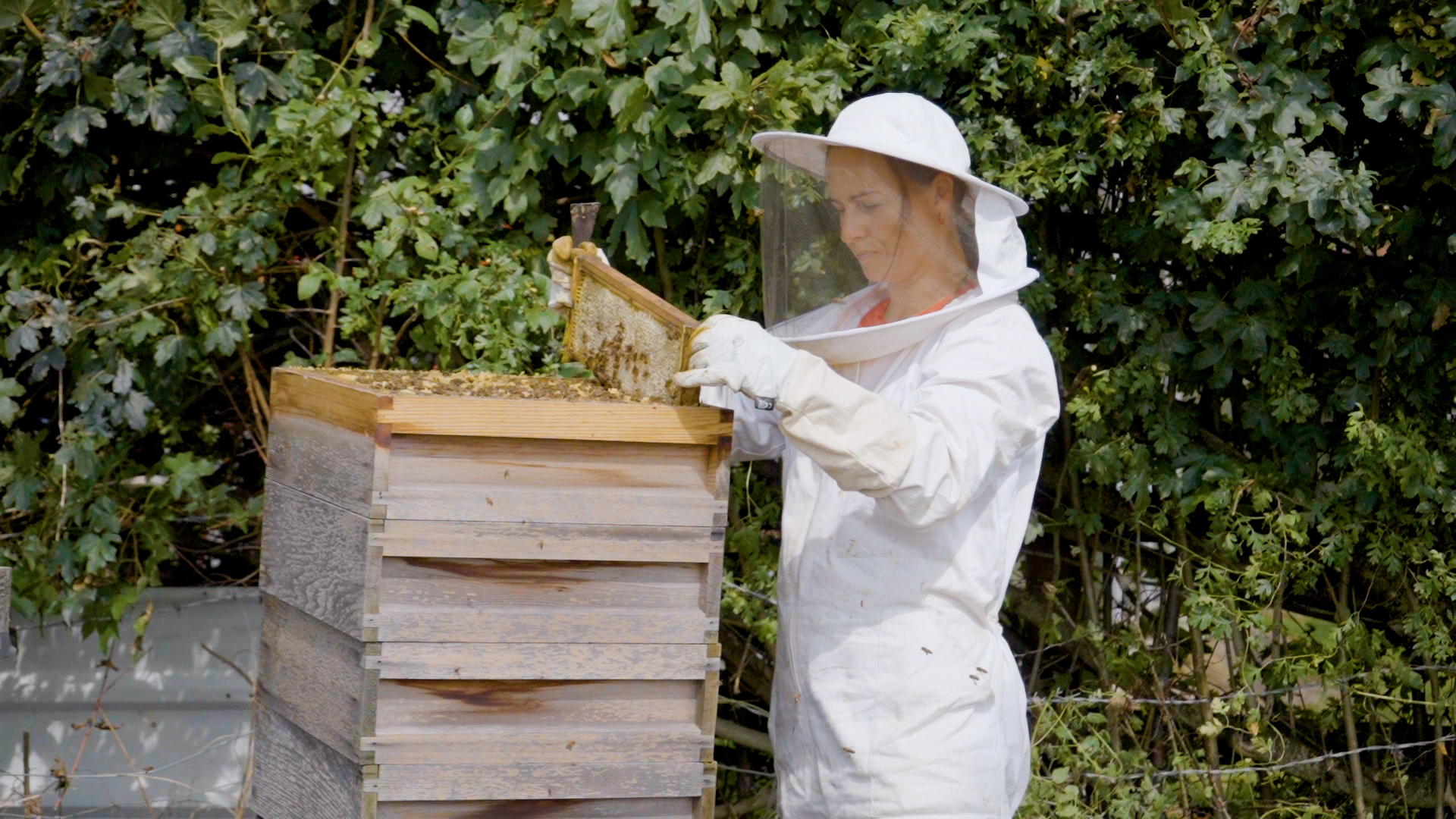 Owner Joanna tending to bees in hive 