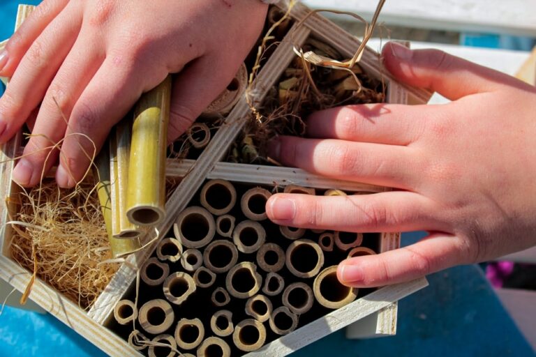 Person building bug hotel